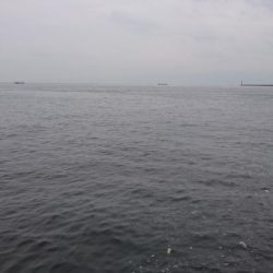 台風前にサゴシ&アジ