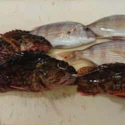 台風の来る前に