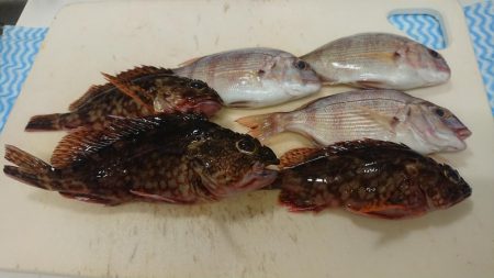 台風の来る前に