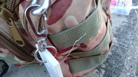 自作ポッパーでニセクロホシフエダイ