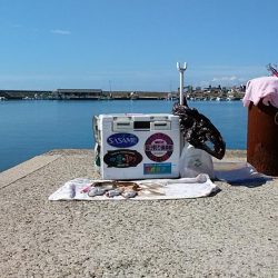 浦港でキス狙い