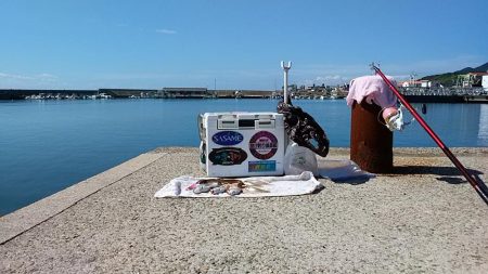 浦港でキス狙い