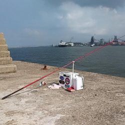 播磨新島へキス釣査