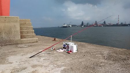 播磨新島へキス釣査