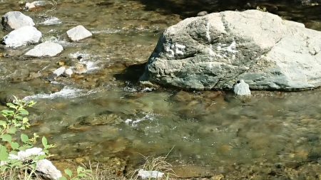 追い気が出てきました