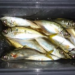 ボートアジング