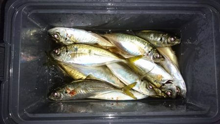 ボートアジング