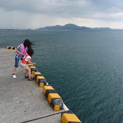 豆アジ サビキ釣り