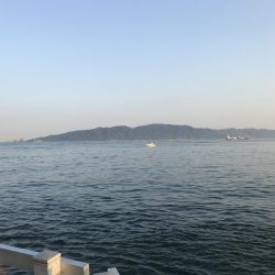 タシッペおすすめの。