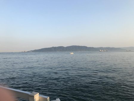 タシッペおすすめの。