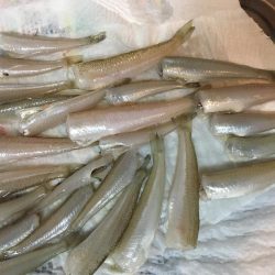 キスが食べたくて