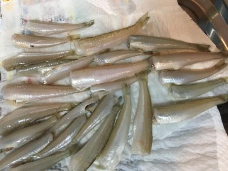 キスが食べたくて