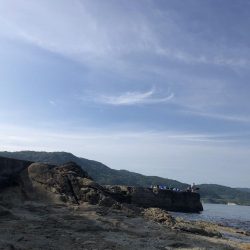 イカこない。小さめのアジが沢山！