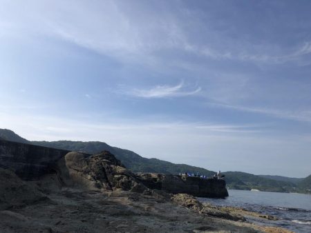 イカこない。小さめのアジが沢山！