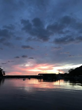 イカも終盤アコウはこれから