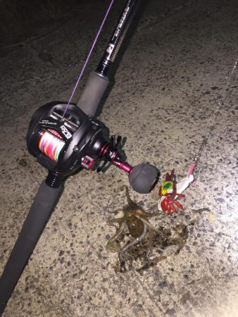 ベイトリールでの初タコだぜ❗️