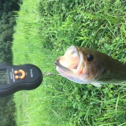 久しぶりのトップ