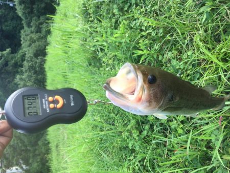 久しぶりのトップ