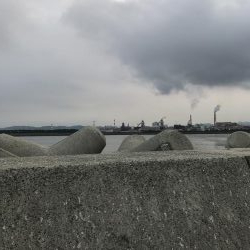 夏のビッグファイト