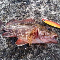 サーフでジギジギ