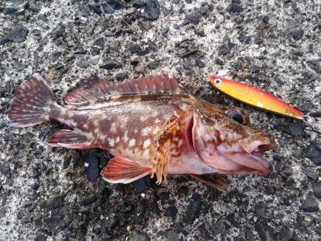 サーフでジギジギ