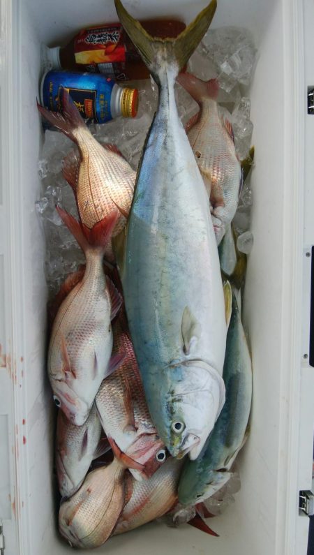 第二美丸　マダイ完全ふかせ