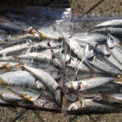 コスモスクエアにて