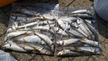 コスモスクエアにて