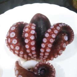 南港魚つり園でタコジグとサビキ