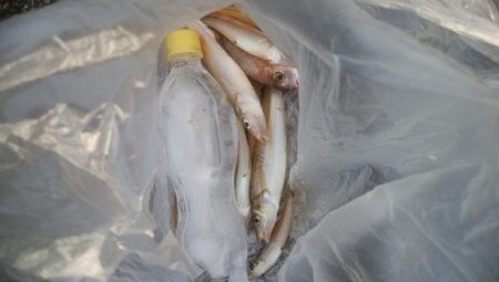 キス好調です！