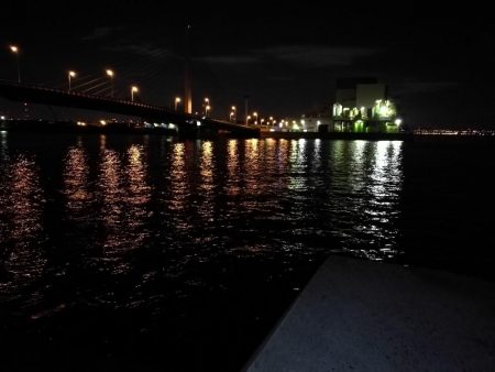 南港カモメ大橋釣行 (真チヌ40cm、小キビレ釣果有りマス)