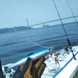 明石で鯛ラバとジギング