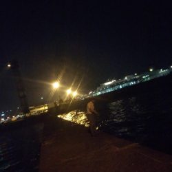 南港フェリーターミナルで夜釣り
