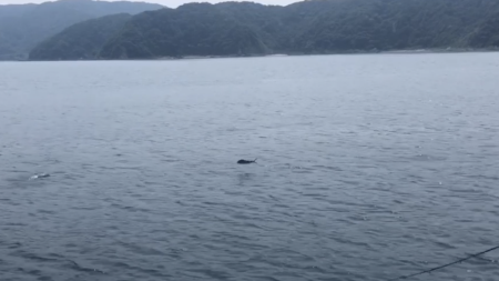 小浦一文字、ポッパーに好反応