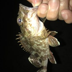 ガッシーマンション2nd