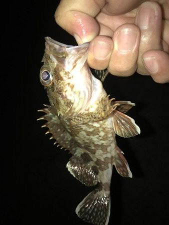 ガッシーマンション2nd