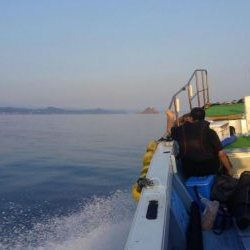 暑さにも負けず‼