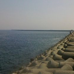 青物とボラを間違えて・・・