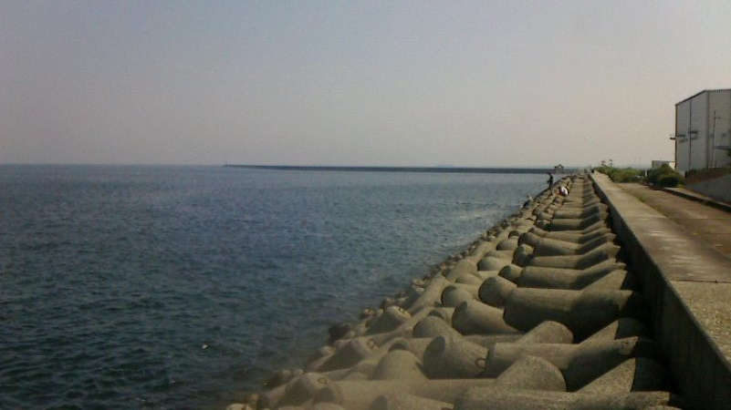 青物とボラを間違えて・・・