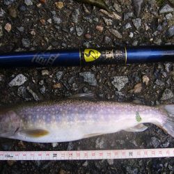 雨上がりの渓谷にて