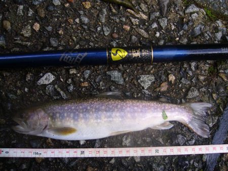 雨上がりの渓谷にて