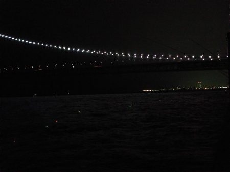 大サバのウキ釣り＆サビキ