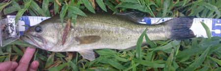 増水してももカバー奥にピッタリ