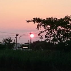 狙いはシェード、カバー、岸際