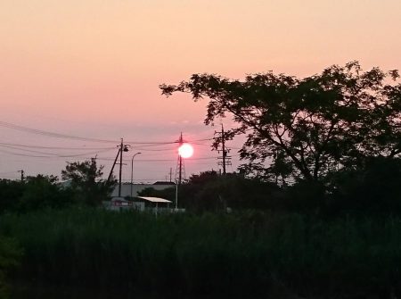 狙いはシェード、カバー、岸際