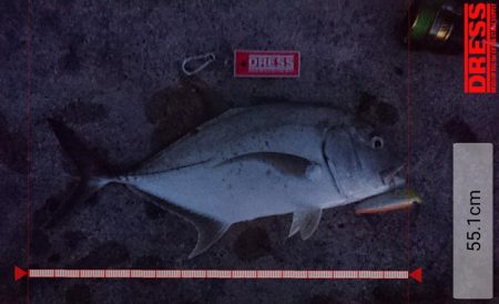 強風が収まり17日ぶりの釣果