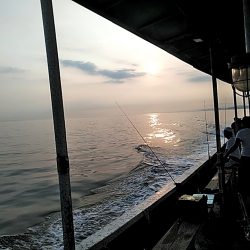 泉南の五目狙いです!!