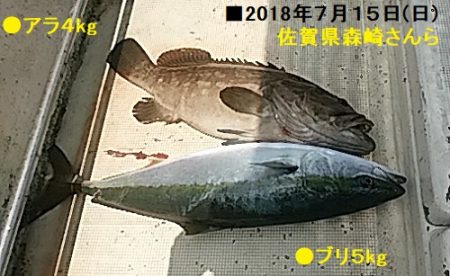 大物釣果速報!●光義丸:平戸市早福港