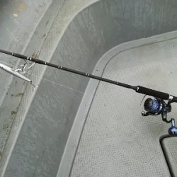 IDATEN（イダテン） 釣果