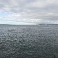 久々の平磯は。